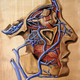 Illustration for article titled Who knew an illustration of an abdominal cavity could be so beautiful?